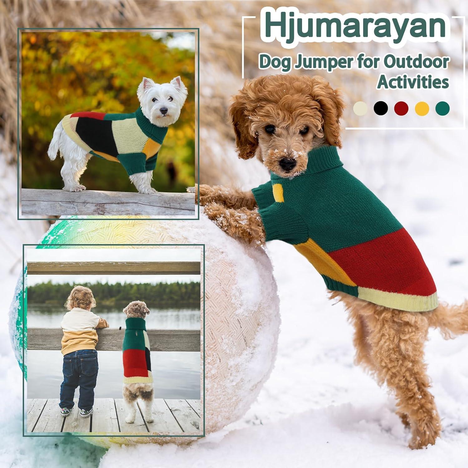 Hunde-Pullover Vintage mit Farbblockierung Rollkragen Grün S