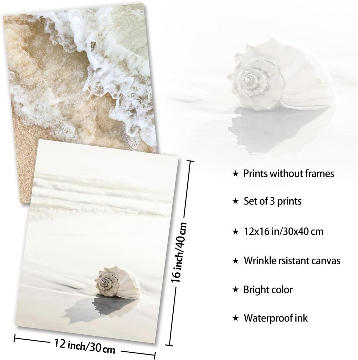 Strand Muschel Wellen Poster Set 12x16 Küsten-Wanddekoration 3er-Set
