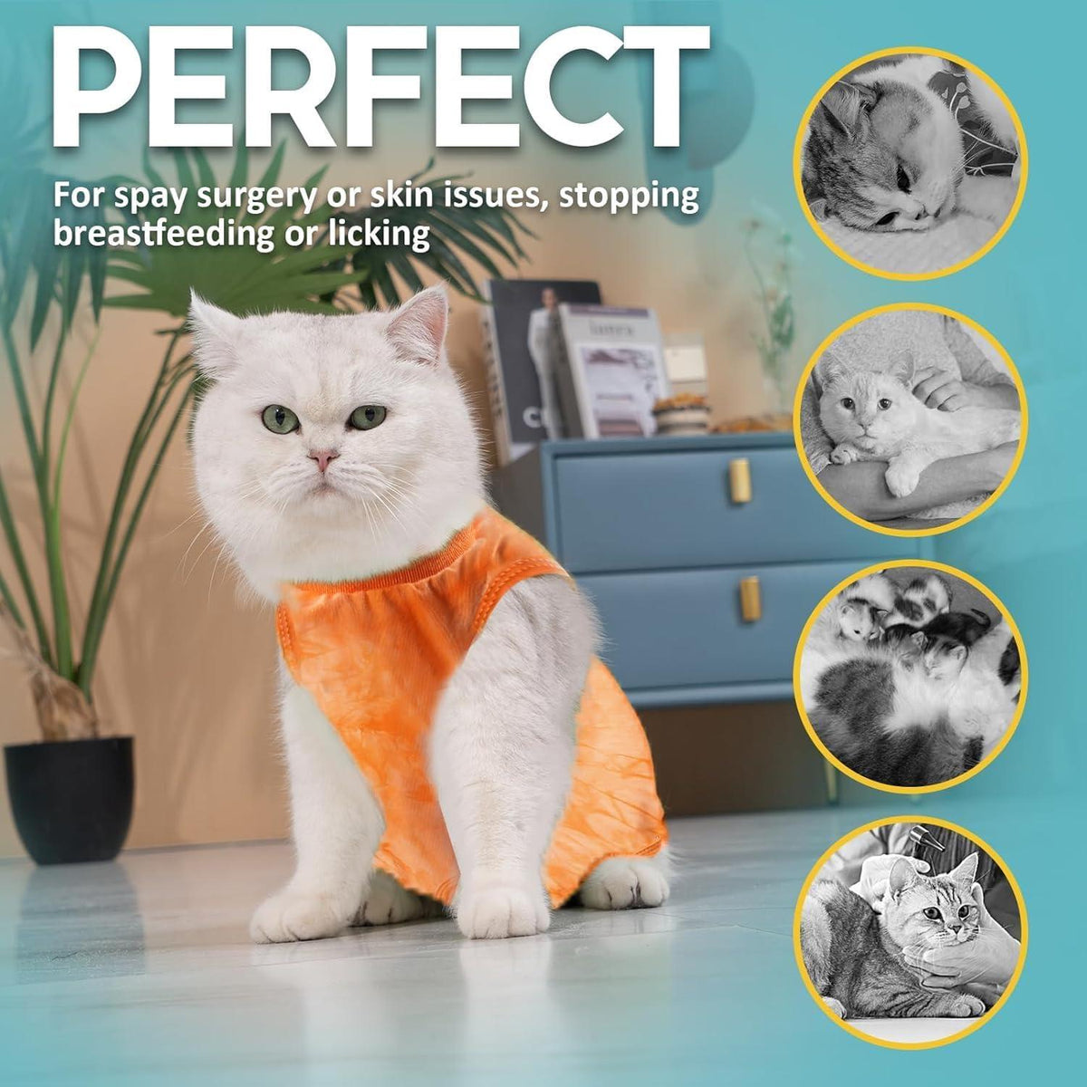Katzenbody OP Erholungsanzug Recovery Kastration Leckschutz Suit M Orange