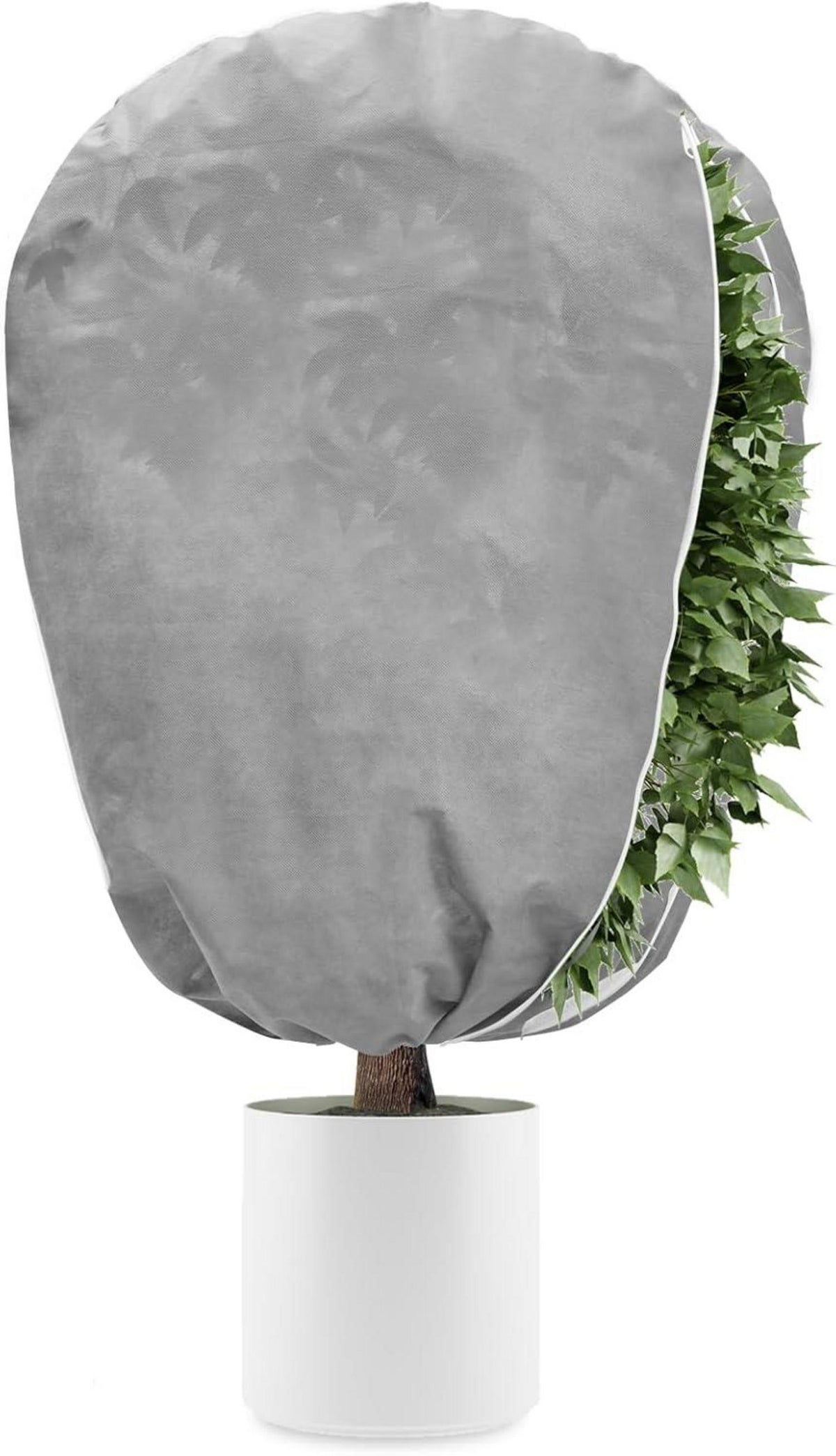 Pflanzenfrostschutz Vlies 50g Frostschutz Tomaten Palmen 100x120cm