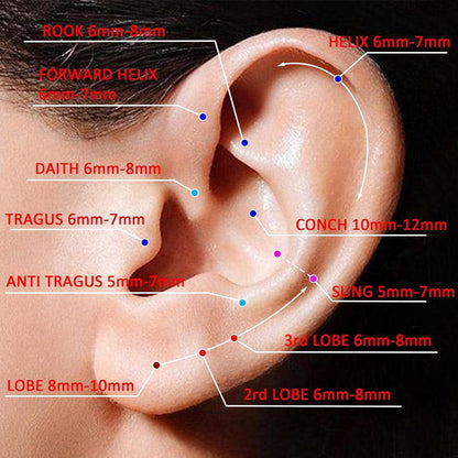 G23 Titan Nasenring Set 3 Stück 20G Knorpel Helix Septum Schmuck