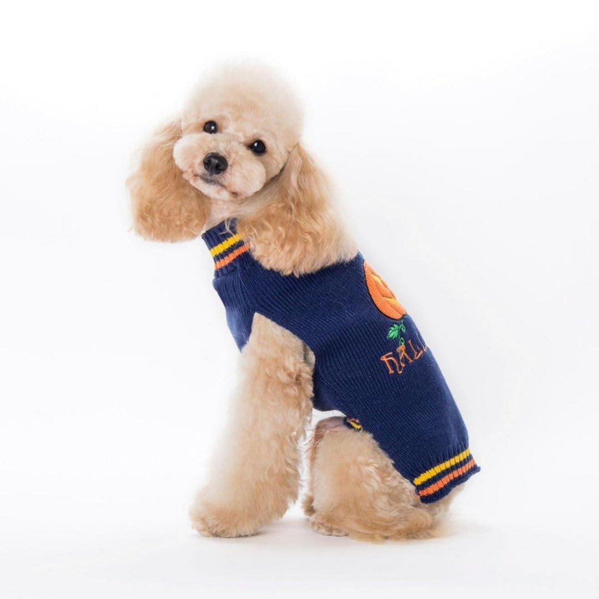 Hunde Halloween Pullover Kürbis Blau XXL - Bequemer Sweater für Hunde