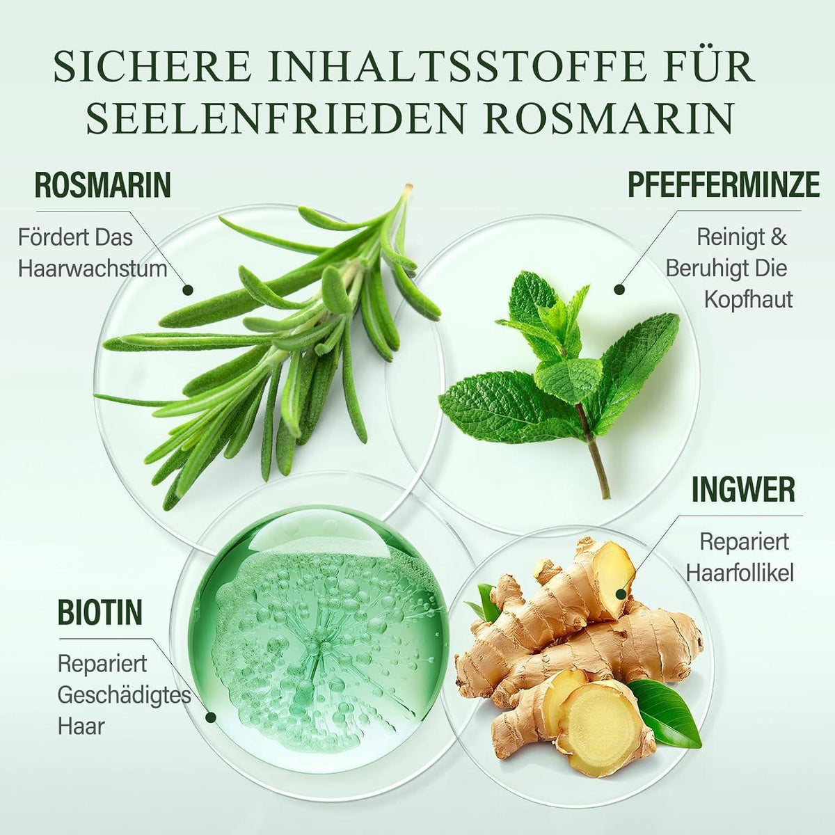 Rosmarin Shampoo & Conditioner Set mit Haarwuchsöl + Bürste