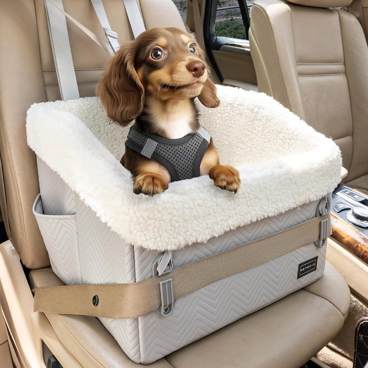 Hunde Autositz für kleine Hunde – Sicher & Komfortabel