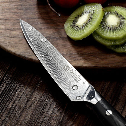 PAUDIN Damastmesser 13 cm Profi Allzweckmesser aus VG10