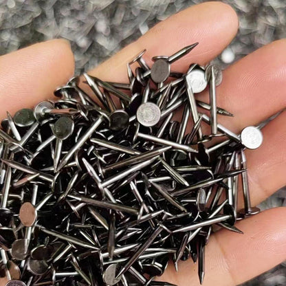 Bilderaufhänger Nägel 180 Stück für Wandmontage
