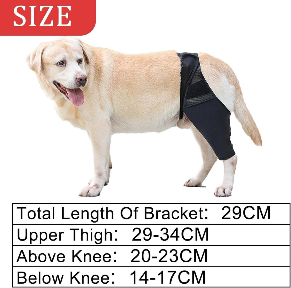 Kniebandage Hund Hinterbein - Schützende Bandage für