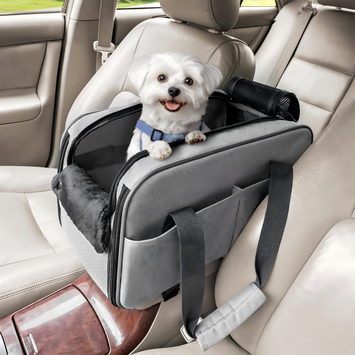 Hundesitz Auto Mittelkonsole – Bequem & Sicher für Kleine Hunde