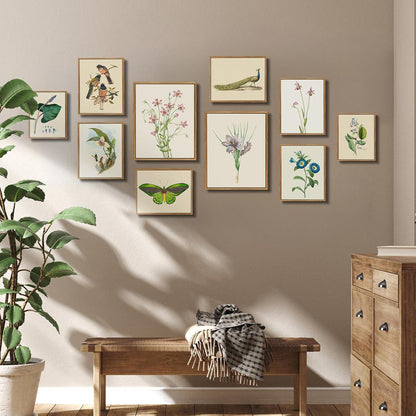 Leinwandbilder Vintage Botanik Holzrahmen 30x40cm Wohnzimmer Schlafzimmer