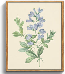 Botanische Leinwandbilder mit Holzrahmen - Vintage Blumenbild 30x40cm