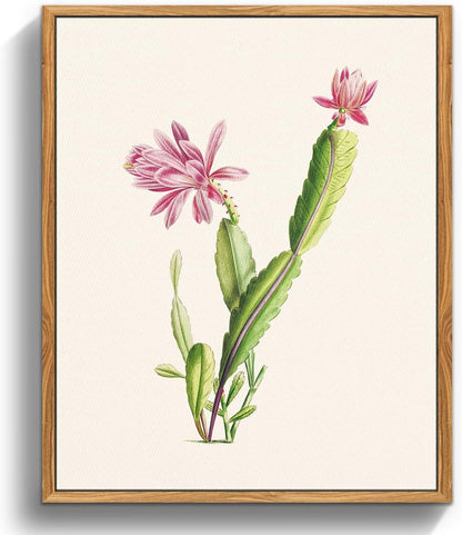Vintage Botanische Leinwandbilder mit Holzrahmen 20x25 cm - Kaktus