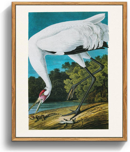 Vintage Vogel Leinwandbilder mit Rahmen - Wanddeko 30x40cm Aesthetic