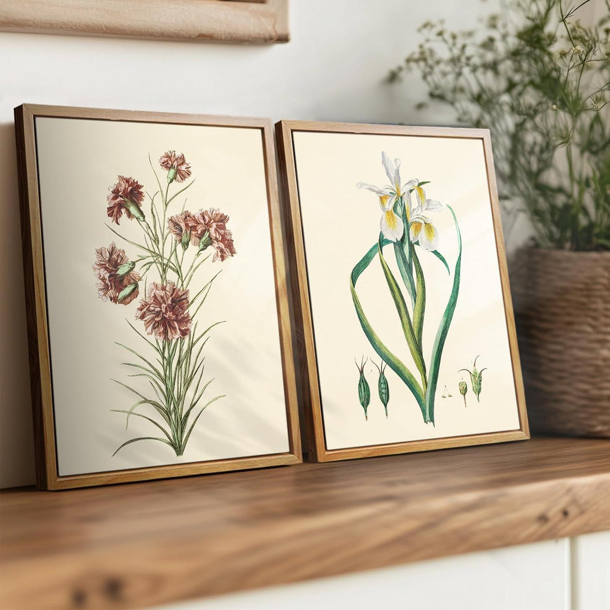 Leinwand Bilder mit Holzrahmen Botanisch Kräuter Aesthetic 20x25cm