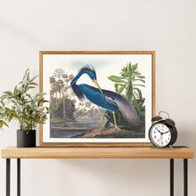 Vogel Leinwandbild mit Rahmen, Vintage, 40x60 cm Blauer