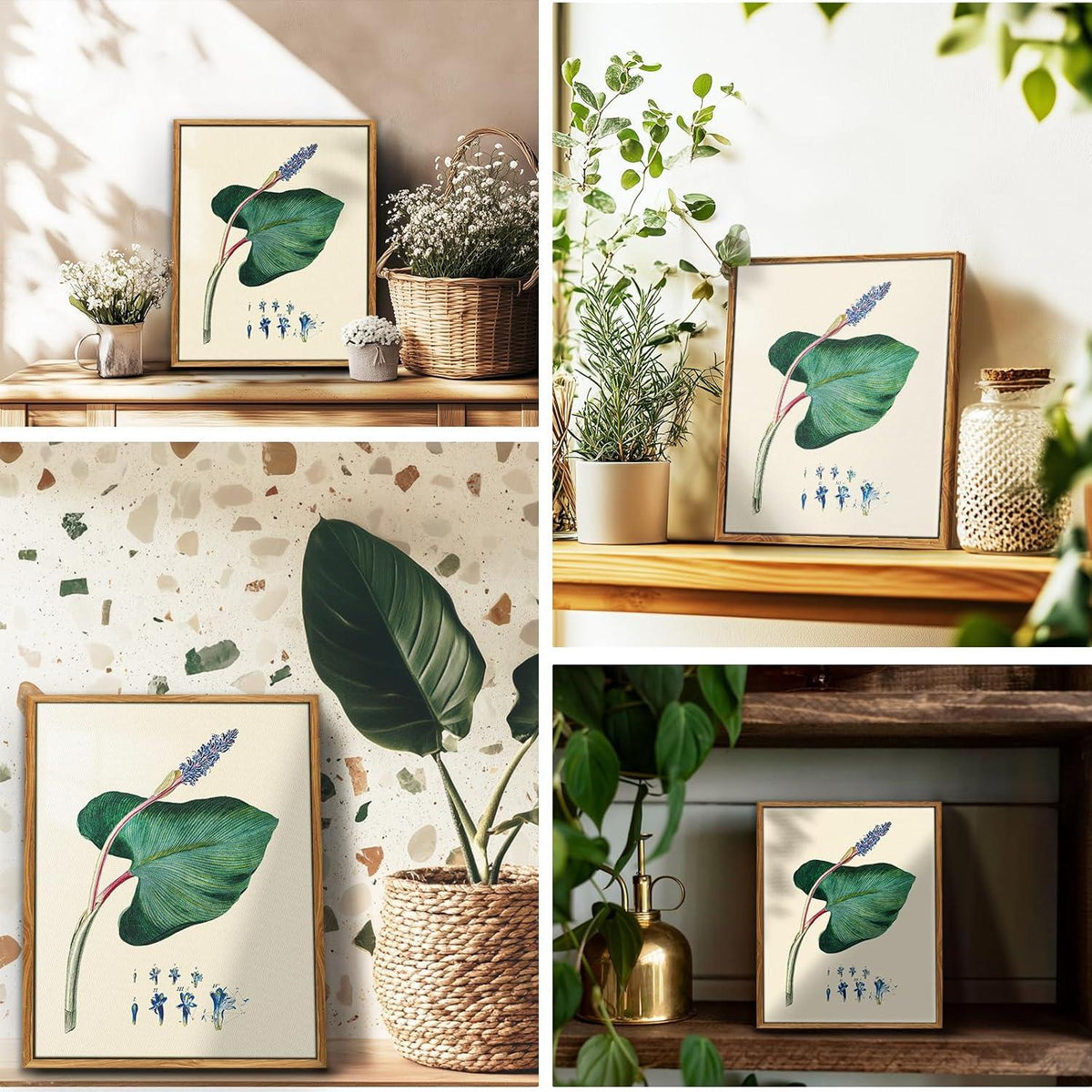 Leinwand Bilder Vintage Botanisch mit Rahmen 20x25 cm Wohnzimmer