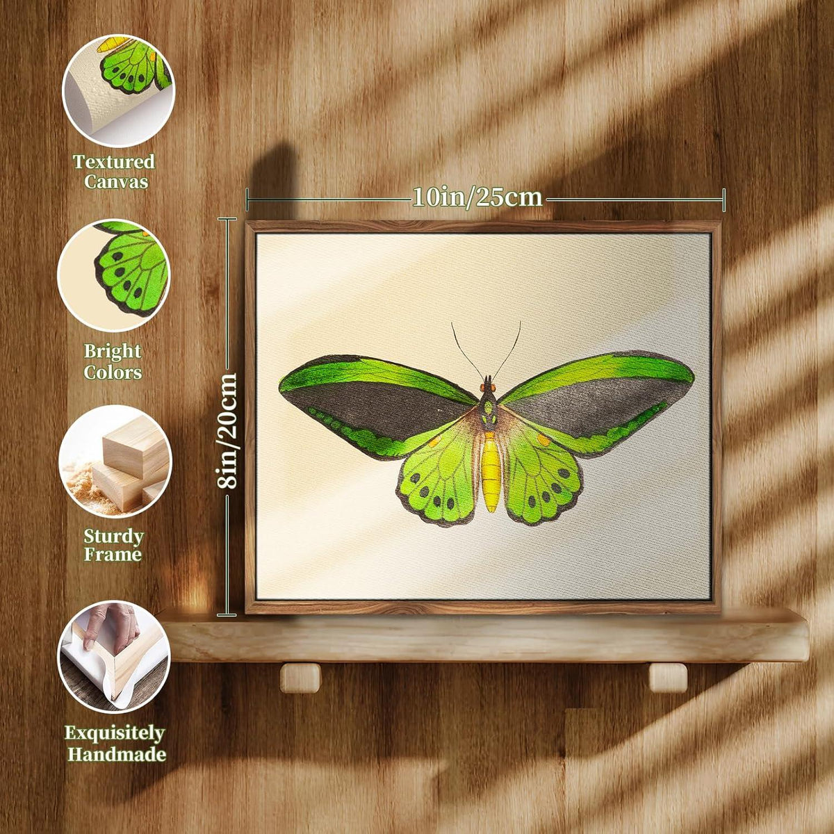 Vintage Insekten Leinwandbild mit Holzrahmen 20x25 cm Wohnzimmer Büro Deko