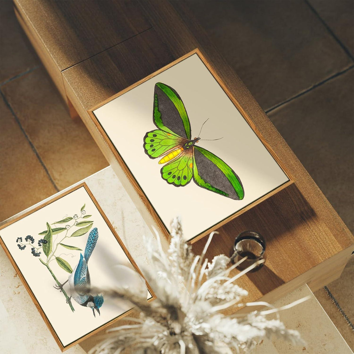 Vintage Insekten Leinwand Bilder mit Rahmen 20x25cm Wohnzimmer