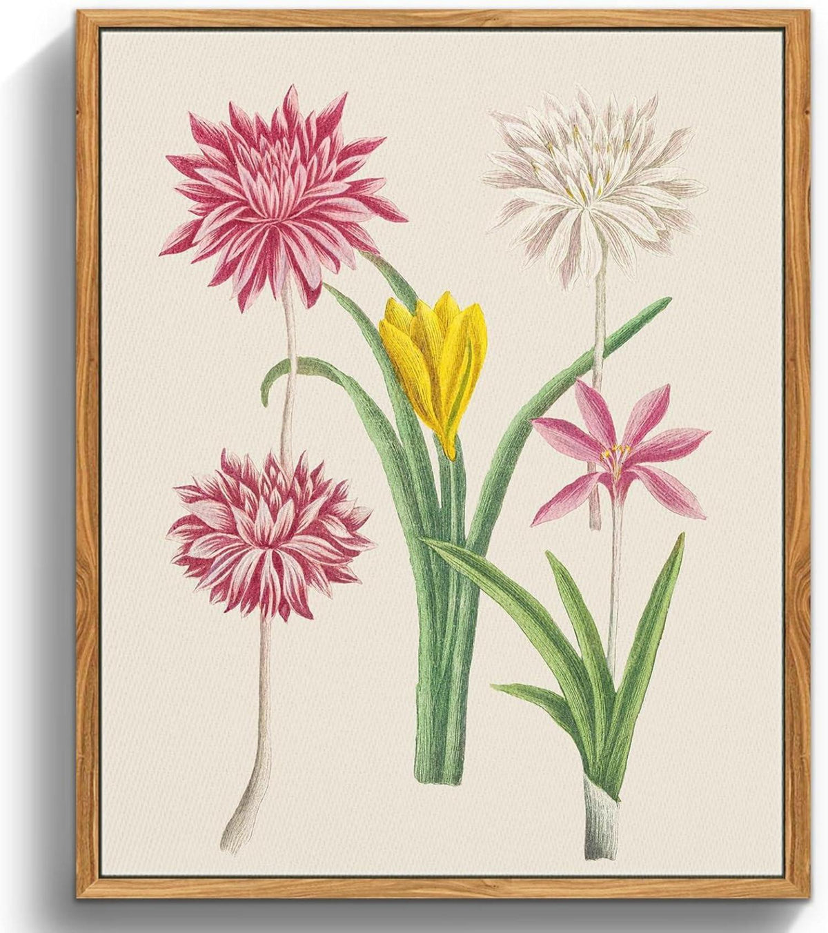 Vintage Botanische Leinwandbilder mit Holzrahmen 20x25 cm - Rosa