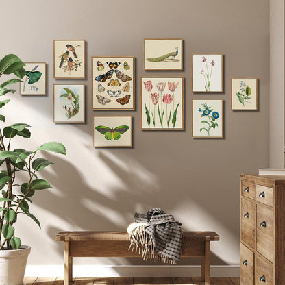Vogel Leinwand Bilder mit Holzrahmen 30x40 cm Wohnzimmer Schlafzimmer Büro