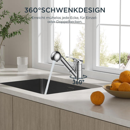 FORIOUS Edelstahl Küchenarmatur mit Brause, 360° Drehbar
