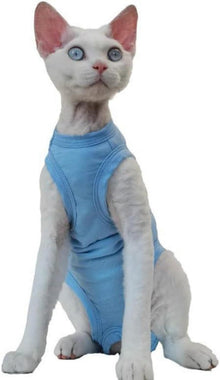 Katzenbody nach OP Dehnbare Katzen Pullover Bauchschutz Blau