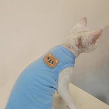 PetSmiler Katzenbody nach OP - Sphynx Katze Kleidung Blau M