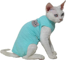 Katzenbody nach OP Bauchschutz Sphynx Kleidung Blaugrün L