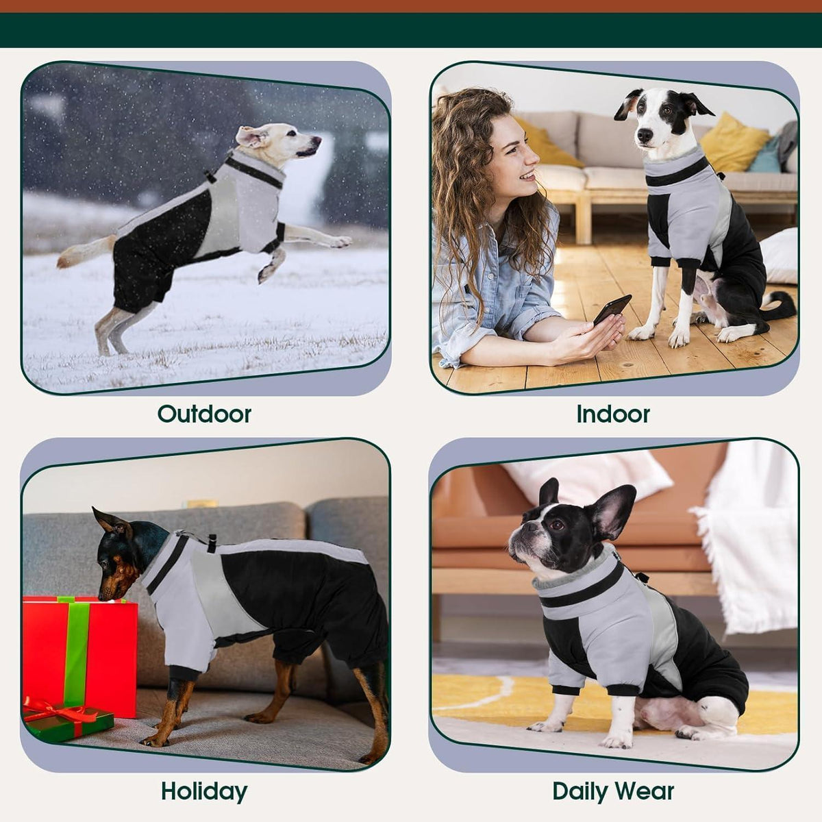 Wasserdichter Hundemantel mit Geschirr – Warm & Reflektierend