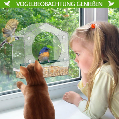 Großes transparentes Vogelfutterhaus Fenster mit Saugnäpfen