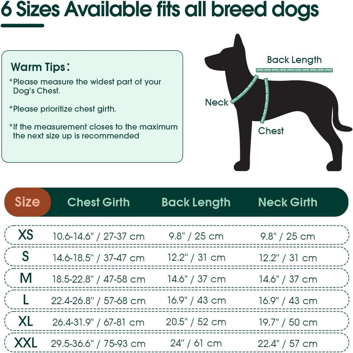 Hundebody nach OP – Wundschutz & Erholung für Hunde, Grau XXL