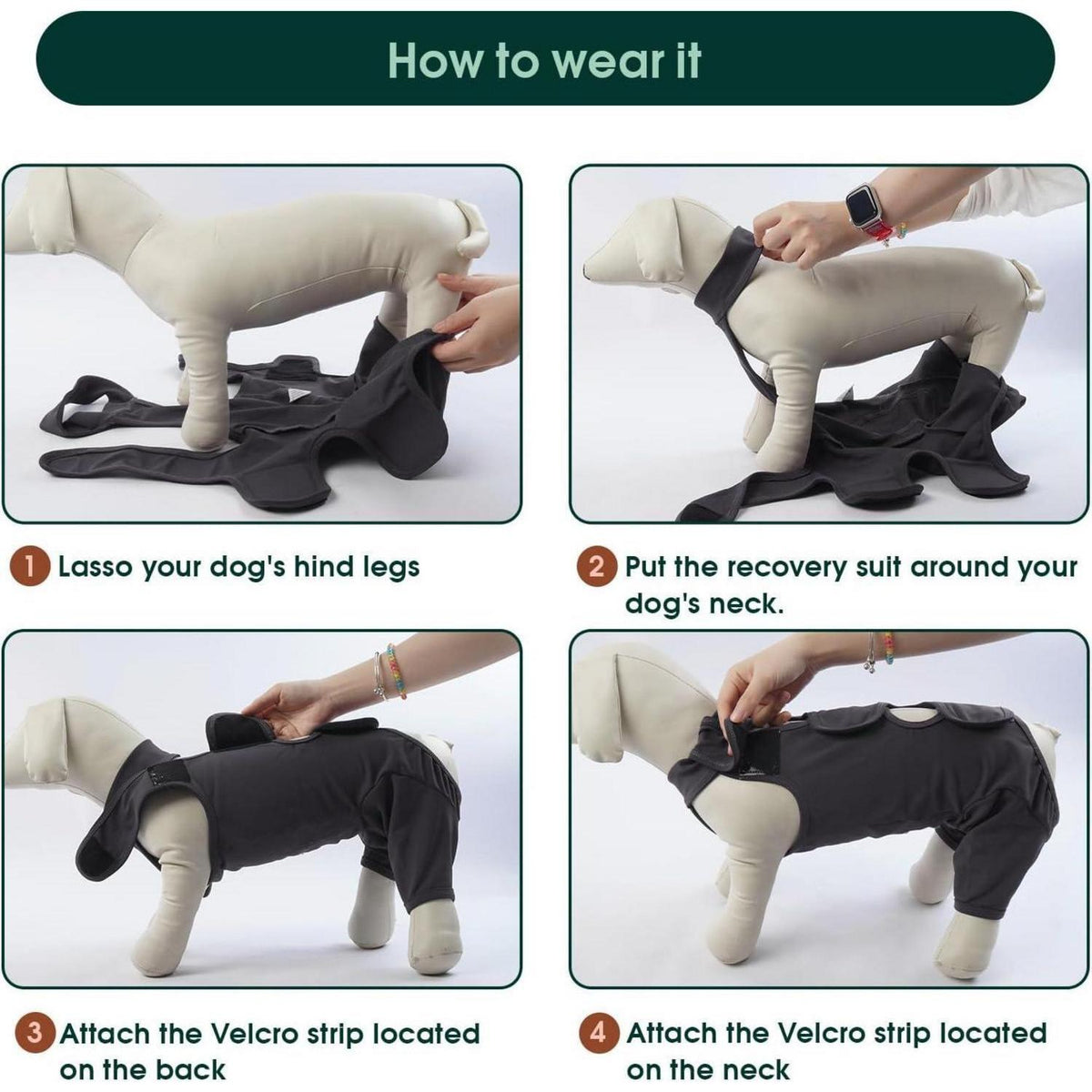 Hundebody nach OP – Wundschutz & Erholung für Hunde, Grau XXL