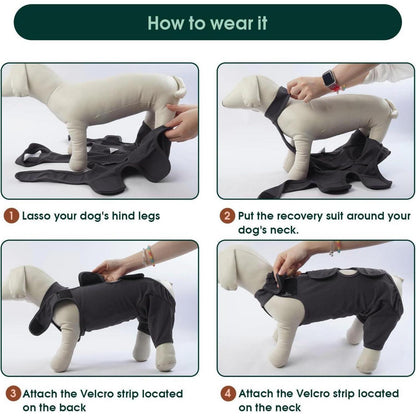 Hundebody nach OP – Wundschutz & Erholung für Hunde, Grau XXL