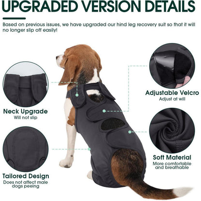 Hundebody nach OP – Wundschutz & Erholung für Hunde, Grau XXL
