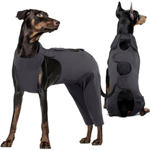 Hundebody nach OP für Kastration & Wundschutz, Grau L