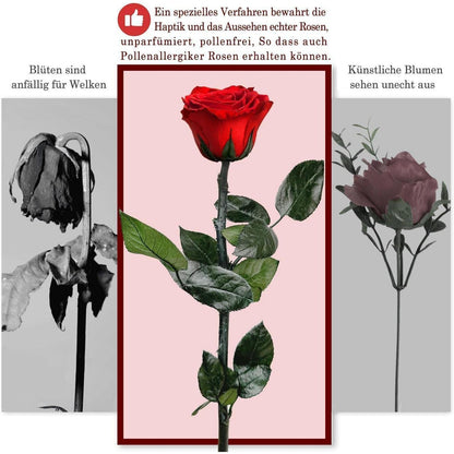 Infinity Rose in Geschenkbox Ewige Blume Blau