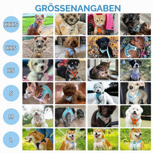 Hundegeschirr Ausbruchssicher mit Leine – Atmungsaktiv & Reflektierend Braun-Beige M