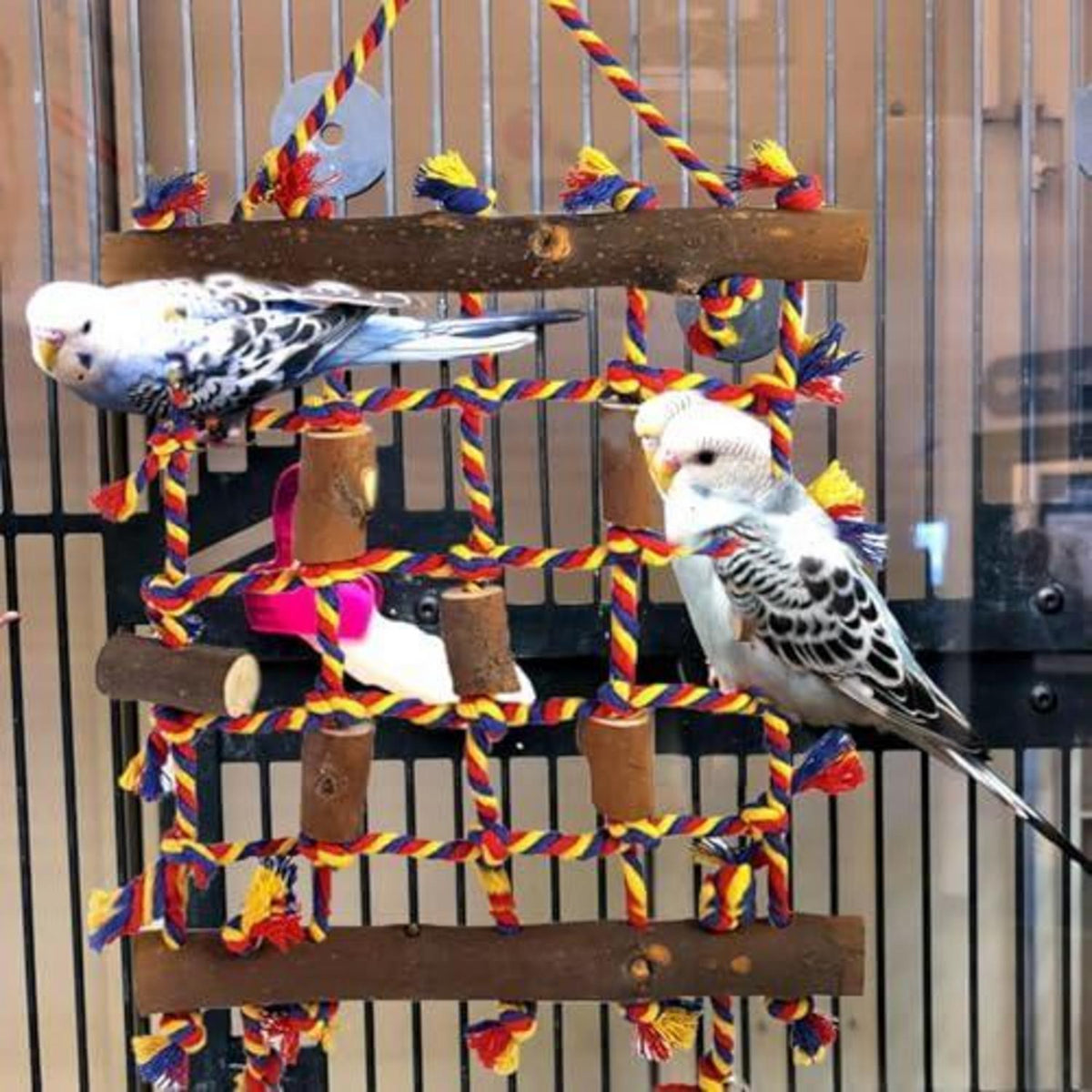 Vogelspielzeug Kletternetz mit Kauspielzeug für Papageien