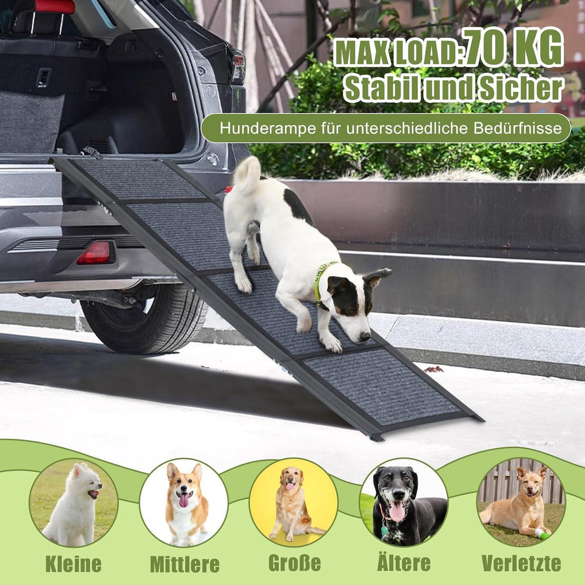 Klappbare Hunderampe 180cm – Sicherer Einstieg Auto, SUV, LKW