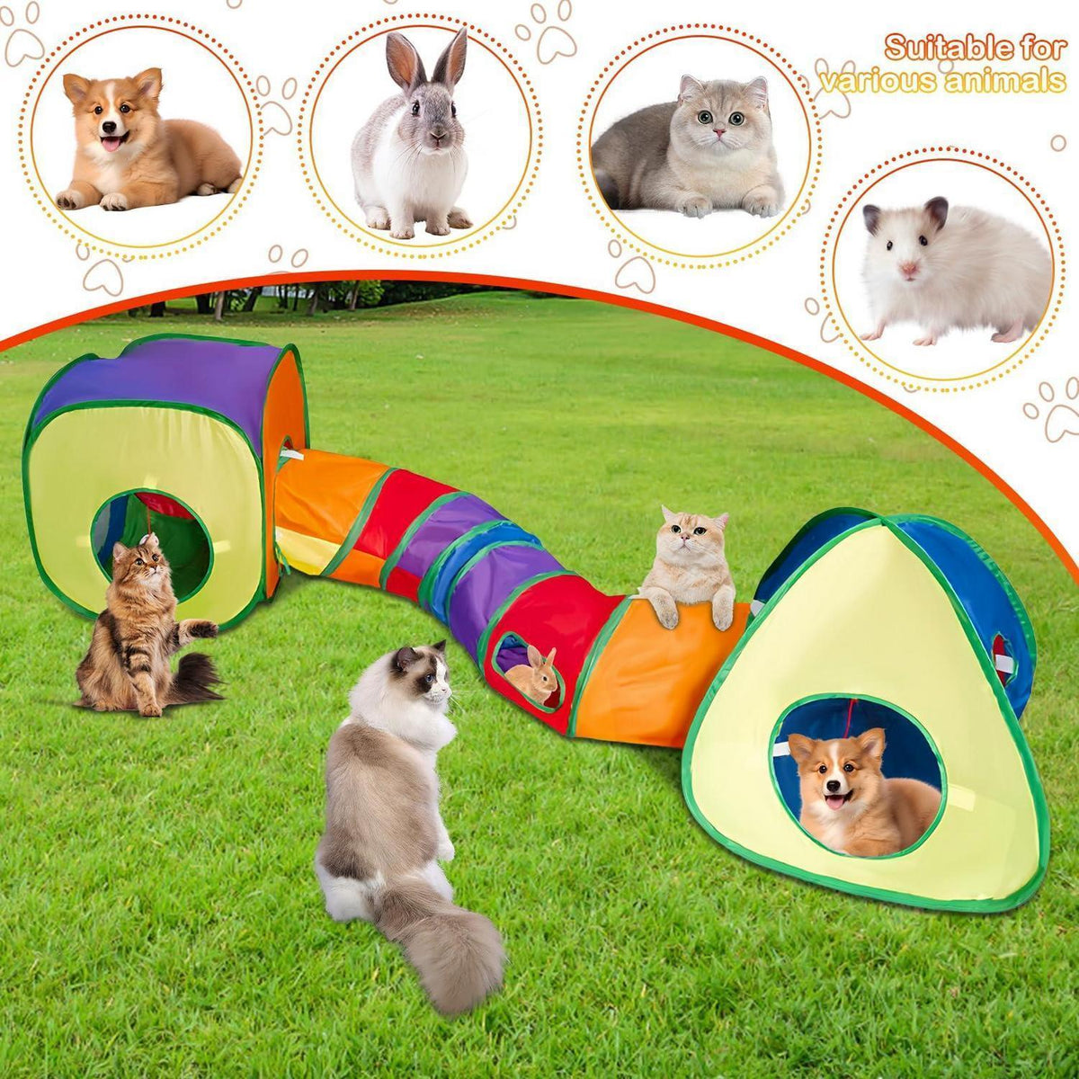 3in1 Katzentunnel Outdoor: Tunnel, Zelt & Spielzeug für Katzen