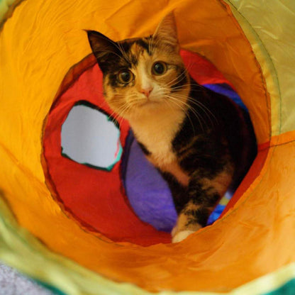 3in1 Katzentunnel Outdoor: Tunnel, Zelt & Spielzeug für Katzen
