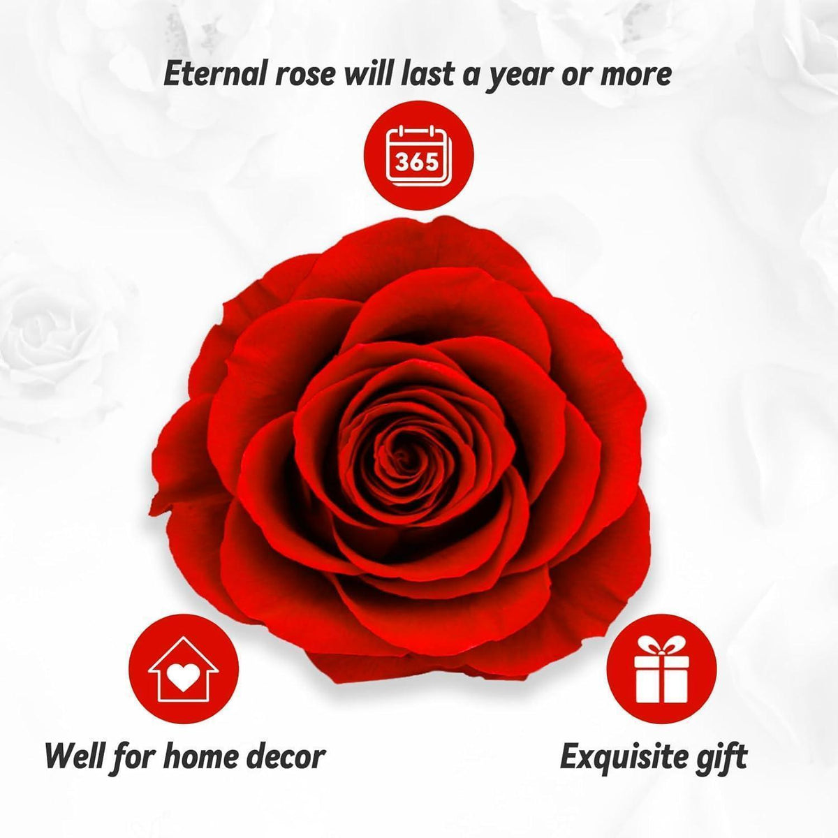 Ewige Rose Geschenkbox mit Kette – 100 Sprachen "I LOVE YOU"