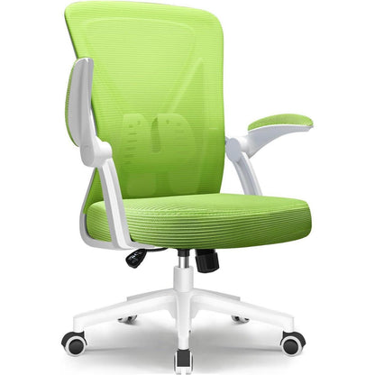 Ergonomischer Bürostuhl mit Lendenwirbelstütze und Grüne