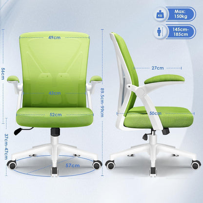 Ergonomischer Bürostuhl mit Lendenwirbelstütze und Grüne