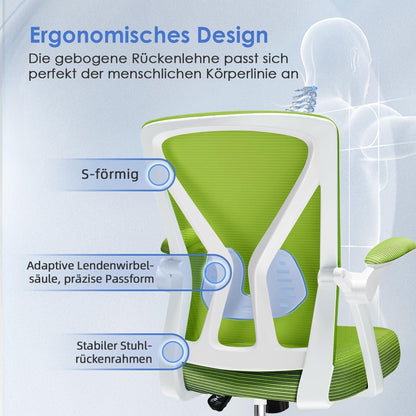 Ergonomischer Bürostuhl mit Lendenwirbelstütze und Grüne
