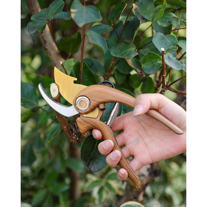 Ersatzfedern für Gartenscheren, 6er Set Edelstahl, 60mm