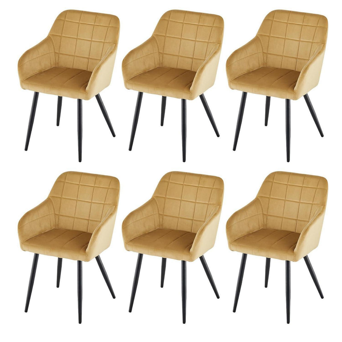 Samt Esszimmerstühle 6er Set – Tulpengold, Bequem & Robust