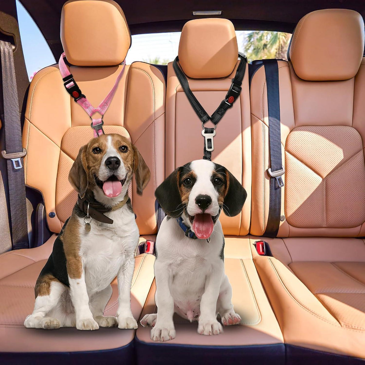 2x Verstellbarer Hunde-Sicherheitsgurt Auto mit Ruckdämpfer