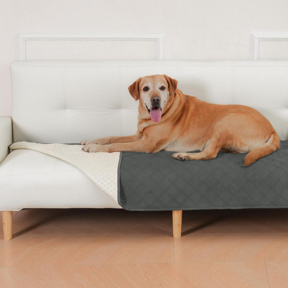 Wasserdichte Hundedecke 76x180cm – Sofa & Reise Decke