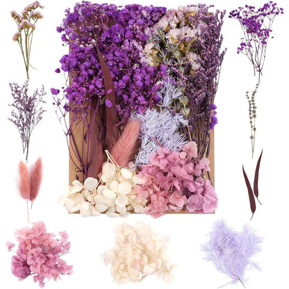 Trockenblumen Set Violett für DIY & Wohndeko