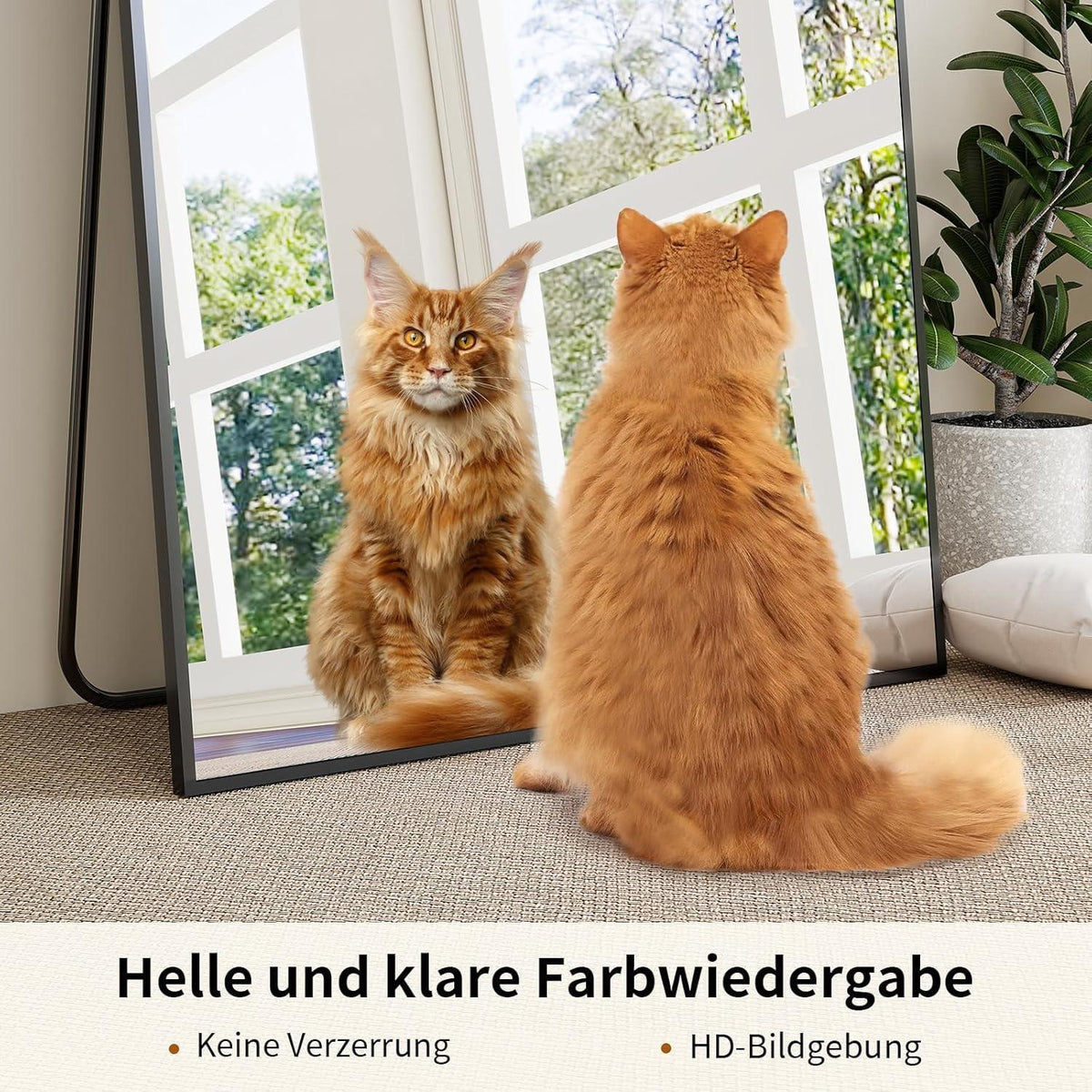 Großer Standspiegel 165x60cm – Bruchsicher & Wandhängend